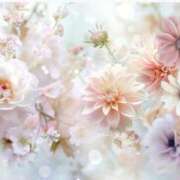 ヒメ日記 2024/12/12 15:04 投稿 いちか ギン妻パラダイス 十三店