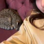 ヒメ日記 2025/03/05 20:04 投稿 神白さくら ヌルテカ