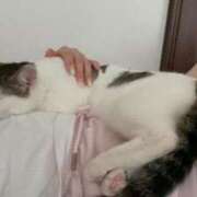 ヒメ日記 2025/06/17 10:20 投稿 神白さくら ヌルテカ