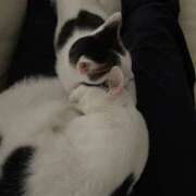 ヒメ日記 2025/10/11 12:20 投稿 神白さくら ヌルテカ