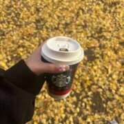 ヒメ日記 2025/11/29 10:00 投稿 神白さくら ヌルテカ