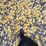 ヒメ日記 2025/11/29 14:01 投稿 神白さくら ヌルテカ