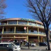 神白さくら 次回 ヌルテカ