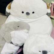 ヒメ日記 2025/03/09 23:45 投稿 はな 僕のぽっちゃり伝説