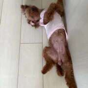 ヒメ日記 2025/09/03 17:19 投稿 みずき ウルトラドリーム