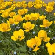 ヒメ日記 2025/07/18 18:04 投稿 りり マリン千葉店