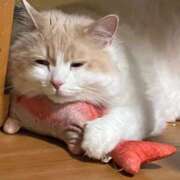 ヒメ日記 2025/07/23 17:03 投稿 りり マリン千葉店