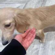 ヒメ日記 2025/07/02 17:22 投稿 くま マリン千葉店