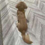 ヒメ日記 2025/07/03 08:12 投稿 くま マリン千葉店