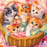 ヒメ日記 2025/05/19 17:38 投稿 きよか モアグループ熊谷人妻花壇