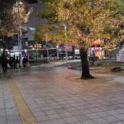 ヒメ日記 2024/12/17 06:33 投稿 田村（たむら） 熟女の風俗最終章 名古屋店