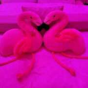 ヒメ日記 2025/01/13 19:57 投稿 田村（たむら） 熟女の風俗最終章 名古屋店