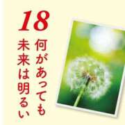 ヒメ日記 2025/02/11 14:01 投稿 田村（たむら） 熟女の風俗最終章 名古屋店