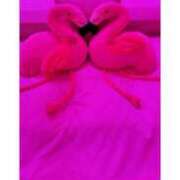 ヒメ日記 2025/07/19 23:32 投稿 田村（たむら） 熟女の風俗最終章 名古屋店