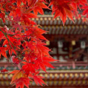 ヒメ日記 2025/11/02 14:34 投稿 ゆず 神戸3040（神戸サーティフォーティ）