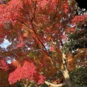 ゆず 11月最後〜🙌 神戸3040（神戸サーティフォーティ）