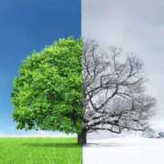 ゆず 2季 神戸3040（神戸サーティフォーティ）