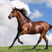 ヒメ日記 2026/01/02 12:07 投稿 ゆず 神戸3040（神戸サーティフォーティ）