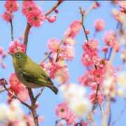 ヒメ日記 2026/02/05 12:04 投稿 ゆず 神戸3040（神戸サーティフォーティ）