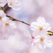 ヒメ日記 2026/03/27 12:04 投稿 ゆず 神戸3040（神戸サーティフォーティ）