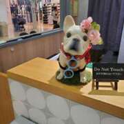 ヒメ日記 2025/03/22 20:45 投稿 北条あや 華女 第二章