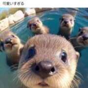 ヒメ日記 2025/06/03 20:48 投稿 北条あや 華女 第二章