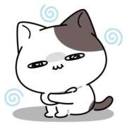 ヒメ日記 2025/05/11 14:35 投稿 れいか 梅田アバンチュール