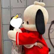 ヒメ日記 2025/09/22 01:43 投稿 こなみ 秋葉原コスプレ学園(AKG)