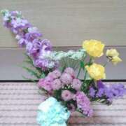 ヒメ日記 2025/01/31 08:48 投稿 長野瑞希(ながのみずき) 五十路マダムエクスプレス厚木店(カサブランカグループ)