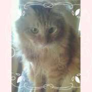 ヒメ日記 2025/04/22 21:25 投稿 むつみ 熟女の風俗最終章 八王子店