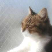 ヒメ日記 2025/11/15 18:53 投稿 むつみ 熟女の風俗最終章 八王子店