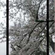 ヒメ日記 2026/04/01 16:53 投稿 むつみ 熟女の風俗最終章 八王子店