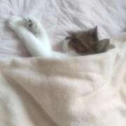 ヒメ日記 2025/02/21 14:17 投稿 むつみ 熟女の風俗最終章 所沢店