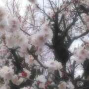 ヒメ日記 2025/03/14 23:53 投稿 むつみ 熟女の風俗最終章 所沢店