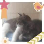 ヒメ日記 2025/06/02 20:26 投稿 むつみ 熟女の風俗最終章 所沢店