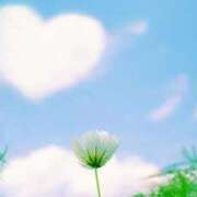 ヒメ日記 2025/07/27 10:43 投稿 むつみ 熟女の風俗最終章 所沢店