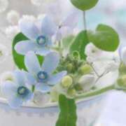 ヒメ日記 2025/04/14 00:53 投稿 むつみ 熟女の風俗最終章 立川店