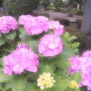 ヒメ日記 2025/06/20 16:53 投稿 むつみ 熟女の風俗最終章 立川店