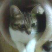 ヒメ日記 2025/06/29 22:57 投稿 むつみ 熟女の風俗最終章 立川店