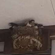 ヒメ日記 2025/07/13 22:53 投稿 むつみ 熟女の風俗最終章 立川店