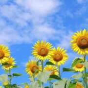 ヒメ日記 2025/07/23 14:13 投稿 むつみ 熟女の風俗最終章 立川店