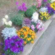 ヒメ日記 2025/08/04 19:23 投稿 むつみ 熟女の風俗最終章 立川店