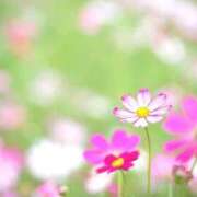 ヒメ日記 2025/09/14 22:53 投稿 むつみ 熟女の風俗最終章 立川店