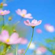 ヒメ日記 2025/09/19 23:03 投稿 むつみ 熟女の風俗最終章 立川店