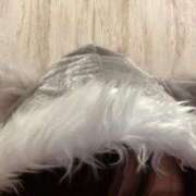 ヒメ日記 2024/12/25 16:56 投稿 こころ ルネッサンス