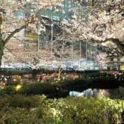 ヒメ日記 2025/04/17 22:41 投稿 こころ ルネッサンス