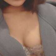 ヒメ日記 2025/06/13 09:54 投稿 こころ ルネッサンス