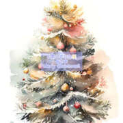 ヒメ日記 2024/12/25 11:37 投稿 藤木 ミセスの手ほどき