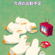 ヒメ日記 2025/01/13 12:25 投稿 藤木 ミセスの手ほどき