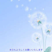 ヒメ日記 2025/03/20 11:32 投稿 藤木 ミセスの手ほどき